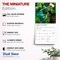 Brush Dance; Vivre en pleine conscience | 2027 7 x 14 Inch (Hanging) Monthly Mini Wall Calendar | French Language; Category:Wall Calendars; Image:7